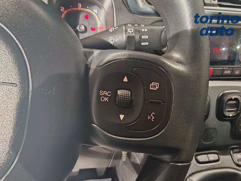 Fiat Panda Cross usata a Torino (13)