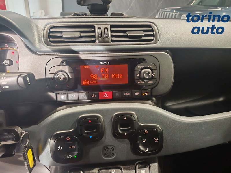 Fiat Panda Cross usata a Torino (15)