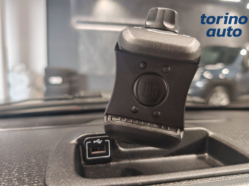 Fiat Panda Cross usata a Torino (16)