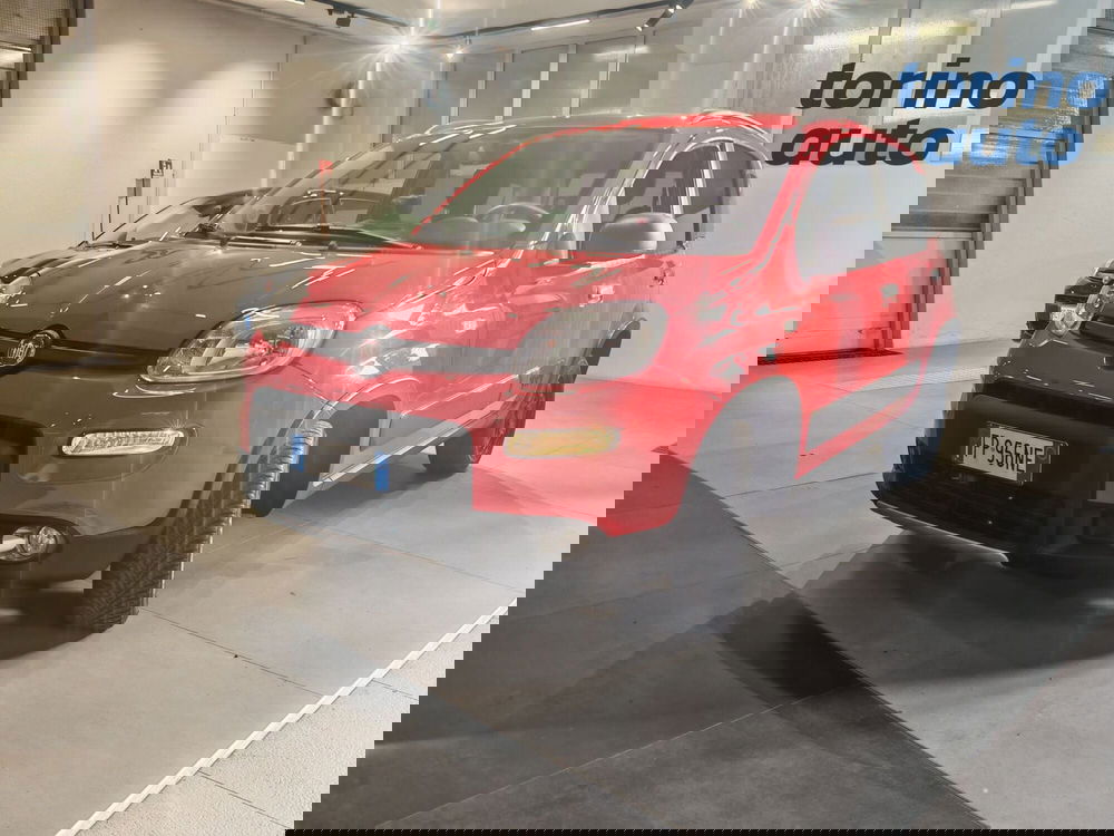 Fiat Panda Cross usata a Torino (2)