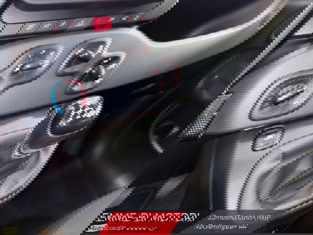 Fiat Panda Cross usata a Monza e Brianza (10)