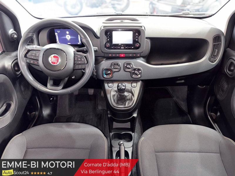 Fiat Panda Cross usata a Monza e Brianza (11)