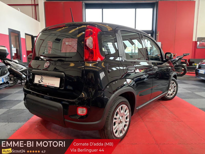 Fiat Panda Cross usata a Monza e Brianza (2)