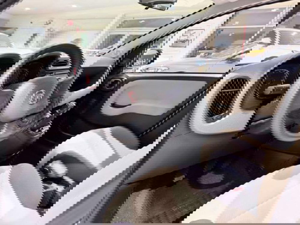 Fiat Panda usata a Savona (11)