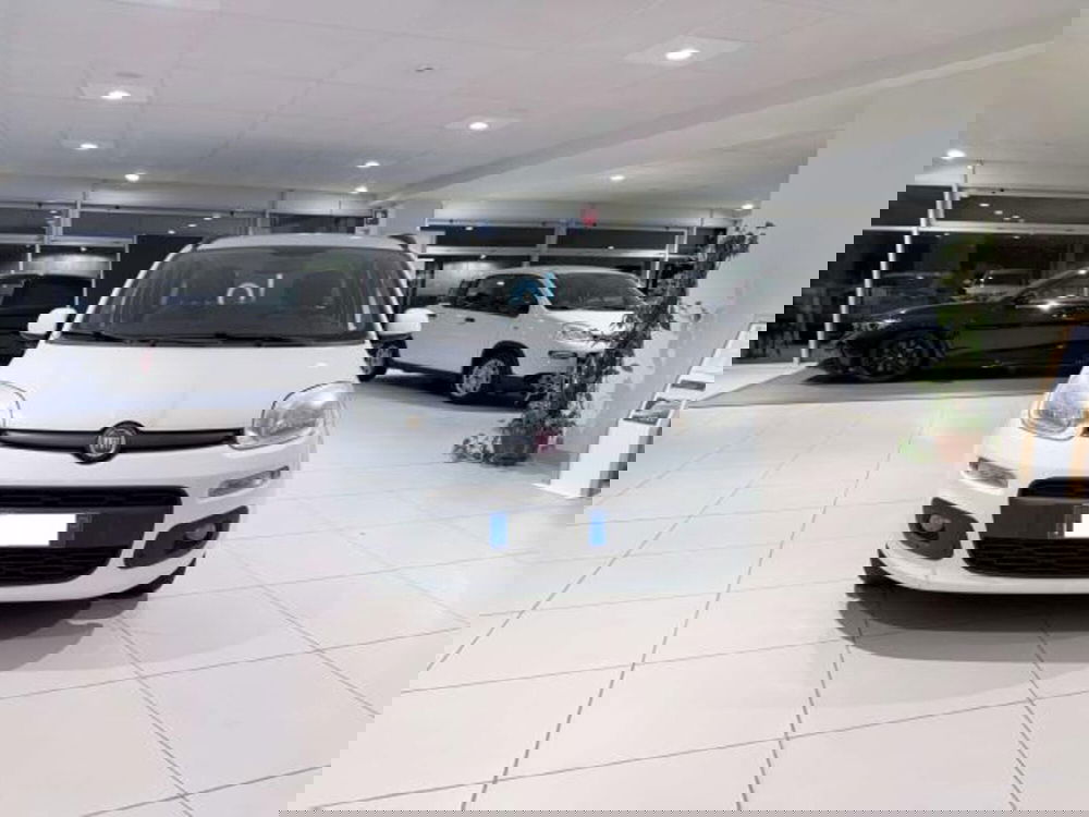 Fiat Panda usata a Savona (3)