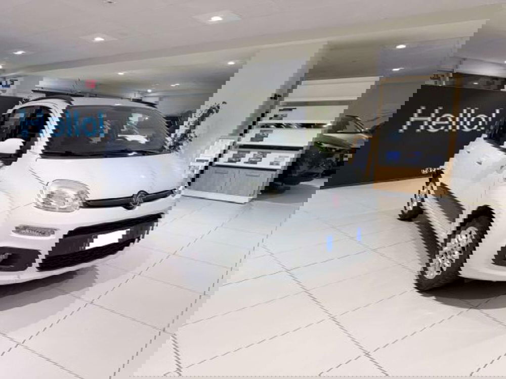 Fiat Panda usata a Savona (4)