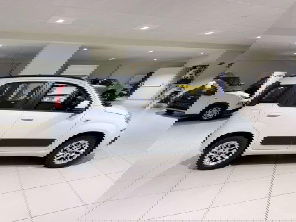 Fiat Panda usata a Savona (5)