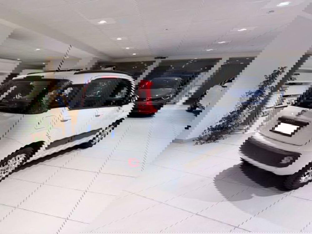 Fiat Panda usata a Savona (6)