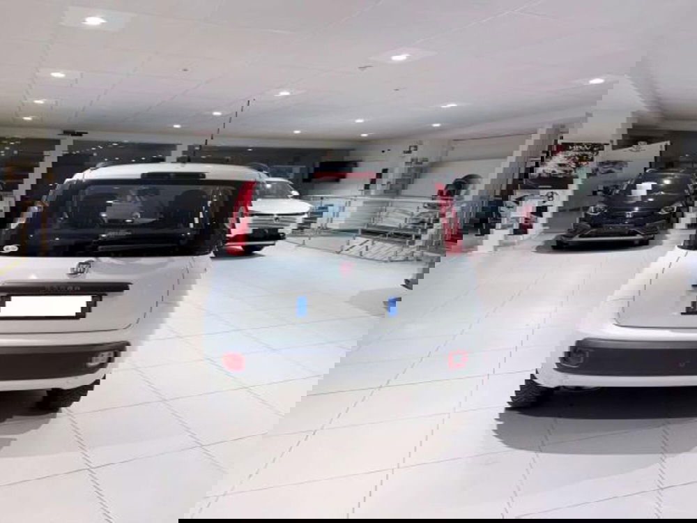 Fiat Panda usata a Savona (7)