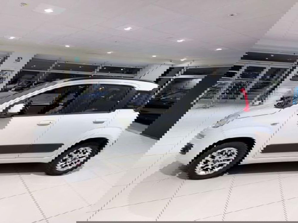 Fiat Panda usata a Savona (9)