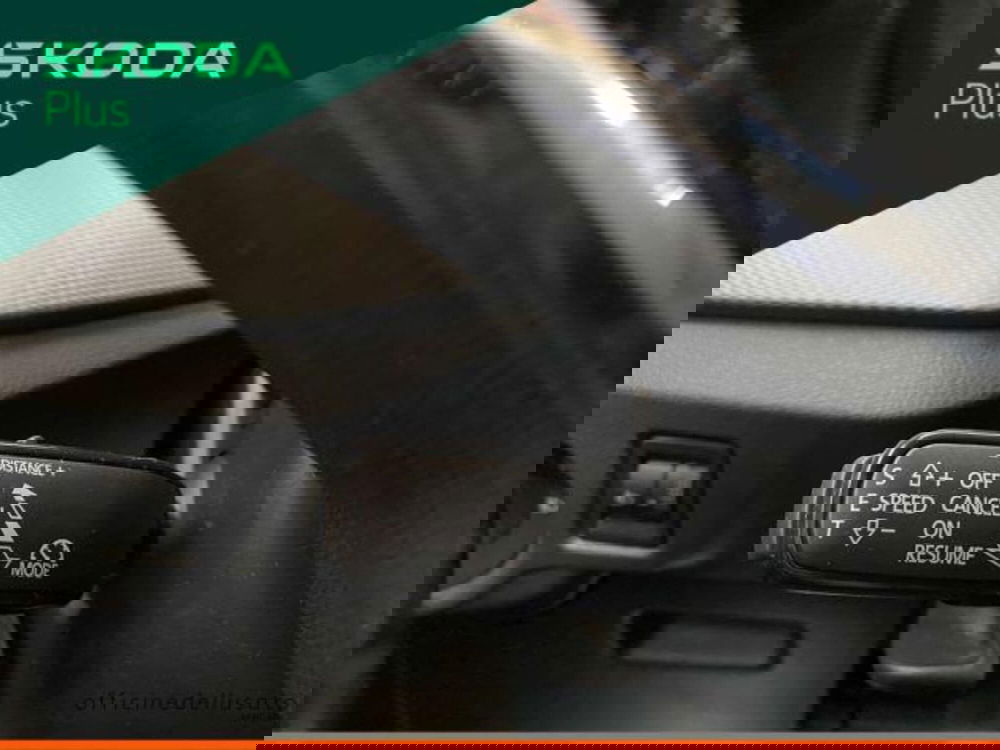 Skoda Kamiq usata a Matera (10)