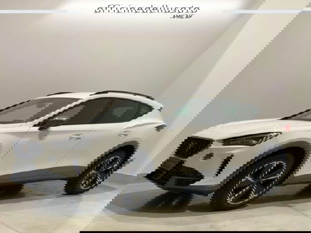 Cupra Formentor usata a Matera (2)