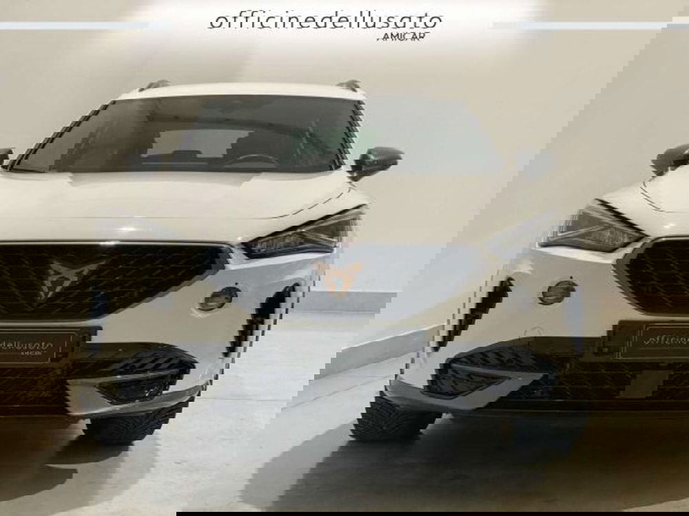 Cupra Formentor usata a Matera (4)