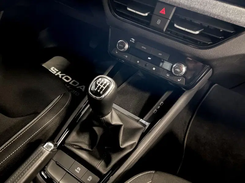 Skoda Kamiq usata a Piacenza (15)