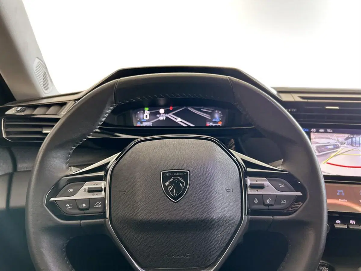 Peugeot 308 usata a Piacenza (13)