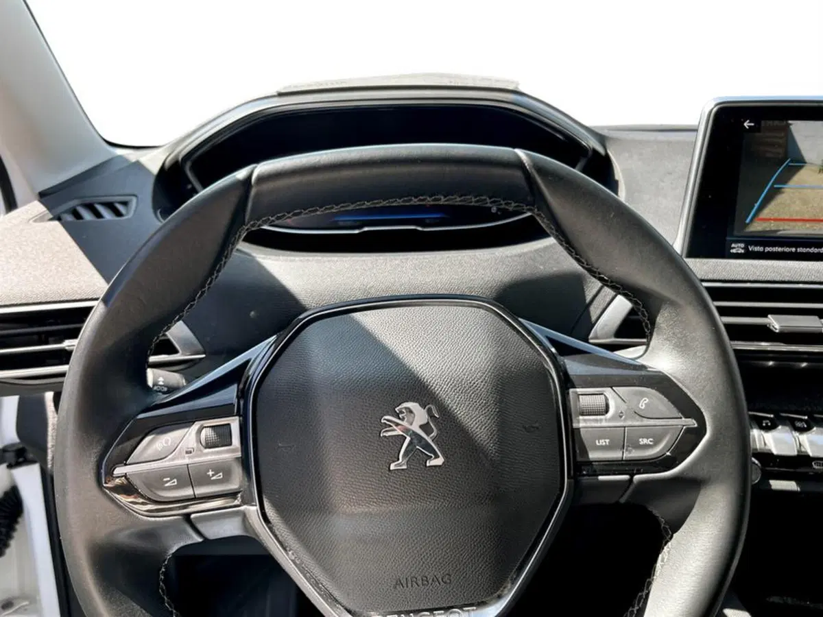 Peugeot 3008 usata a Piacenza (12)