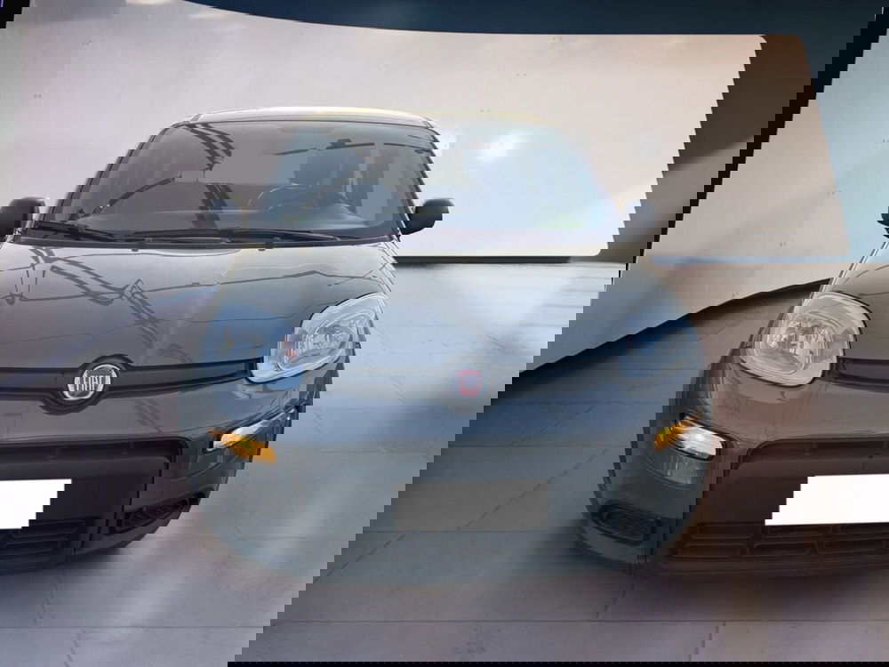 Fiat Panda usata a Torino