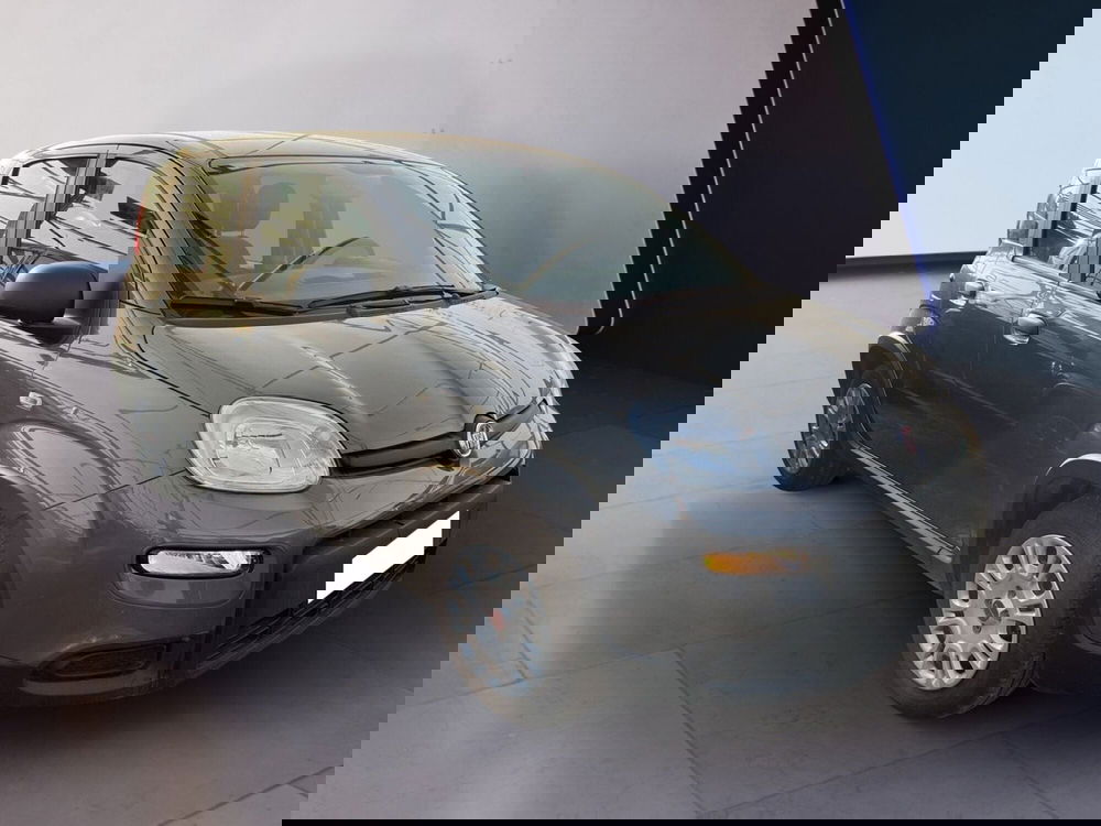 Fiat Panda usata a Torino (2)