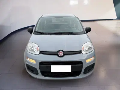 Fiat Panda Cross Cross 1.0 FireFly S&amp;S Hybrid del 2022 usata a Torino