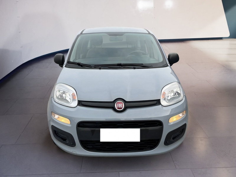 Fiat Panda Cross usata a Torino