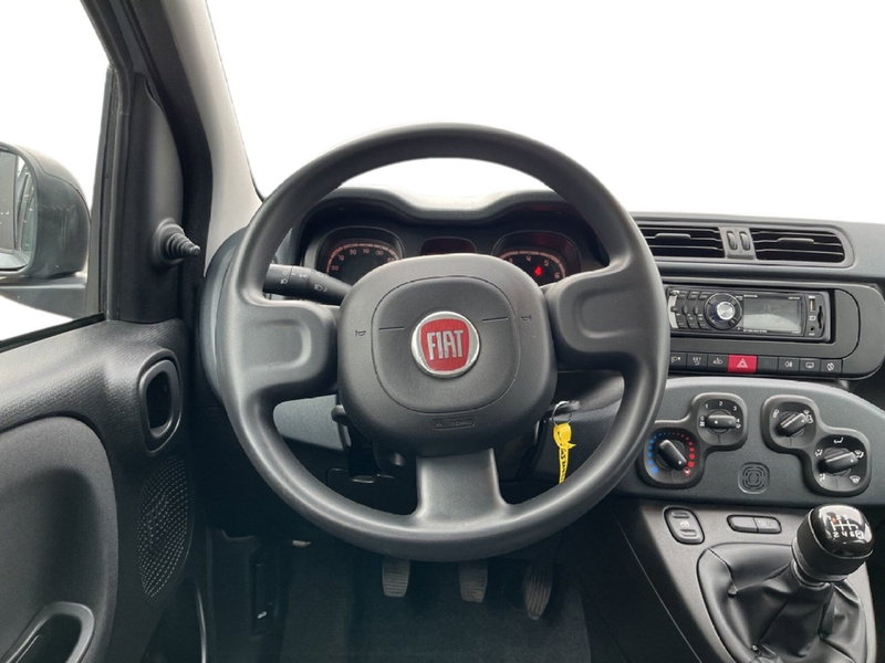 Fiat Panda Cross usata a Torino (11)