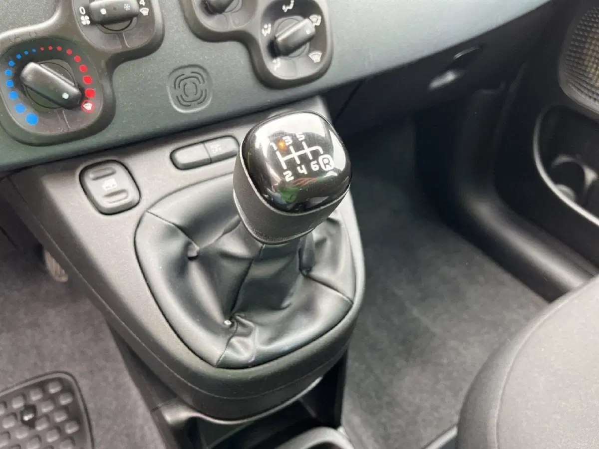 Fiat Panda Cross usata a Torino (12)