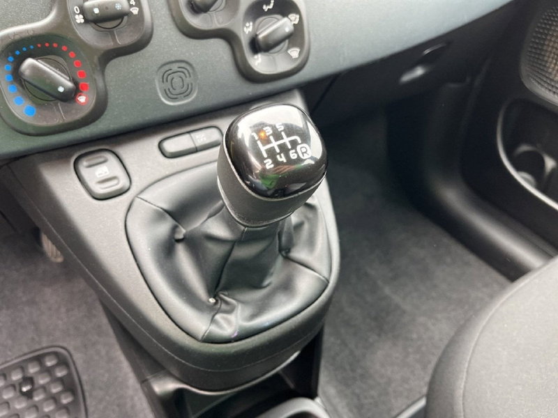 Fiat Panda Cross usata a Torino (12)