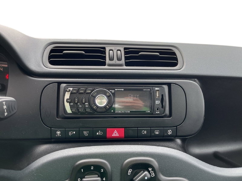 Fiat Panda Cross usata a Torino (13)