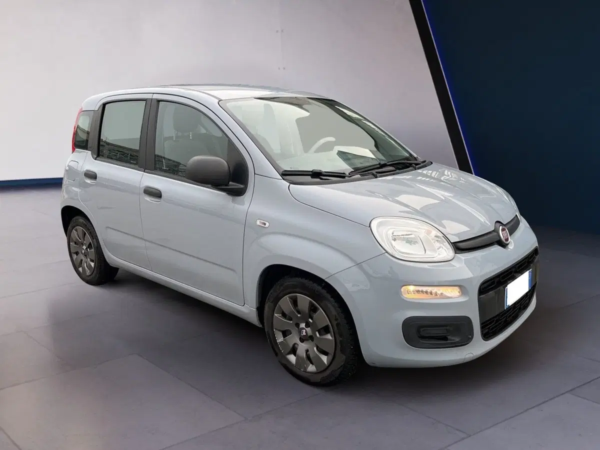 Fiat Panda Cross usata a Torino (2)