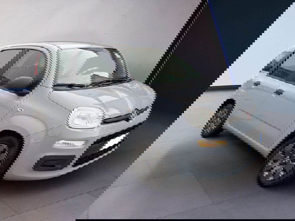 Fiat Panda Cross usata a Torino (2)