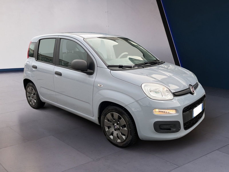 Fiat Panda Cross usata a Torino (2)