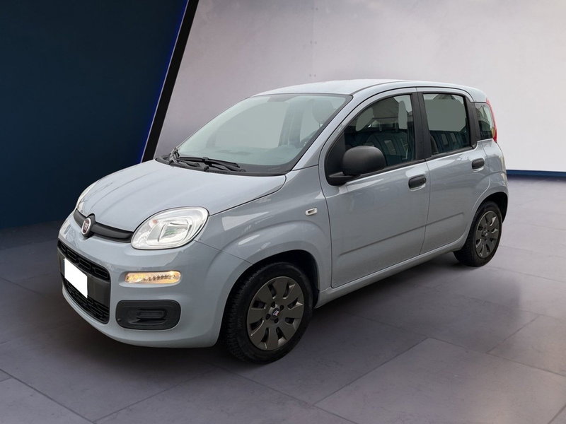 Fiat Panda Cross usata a Torino (3)