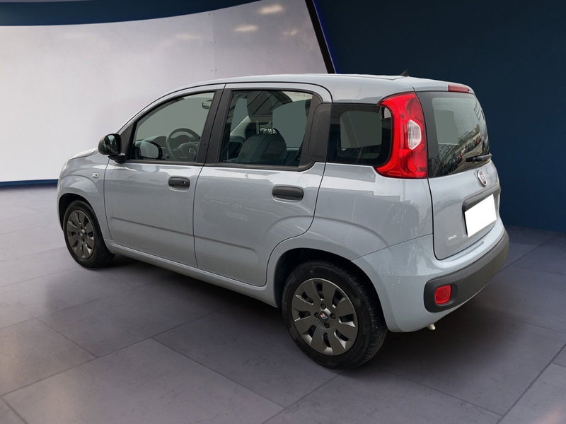 Fiat Panda Cross usata a Torino (4)