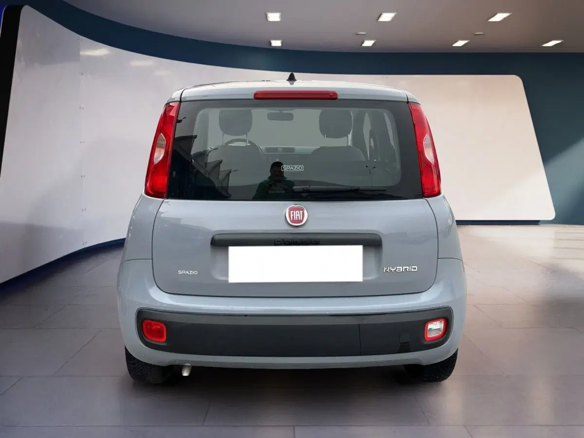 Fiat Panda Cross usata a Torino (5)