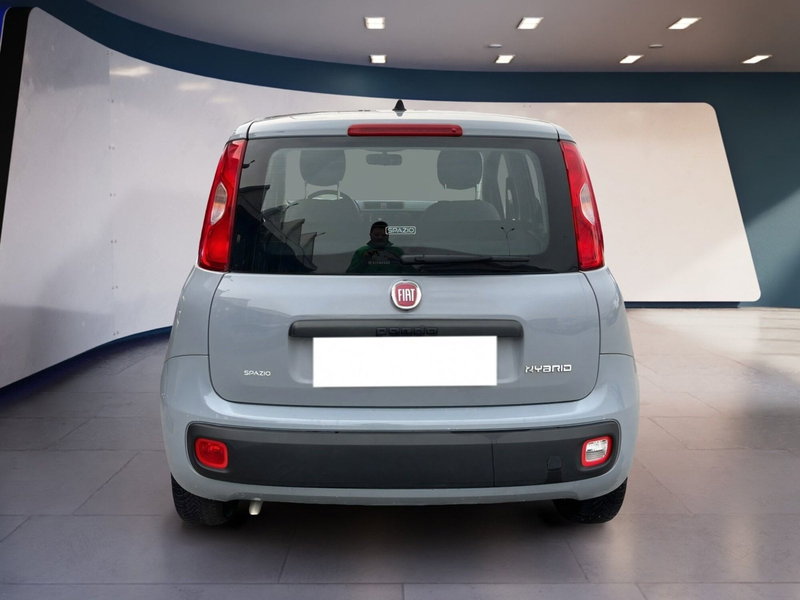 Fiat Panda Cross usata a Torino (5)