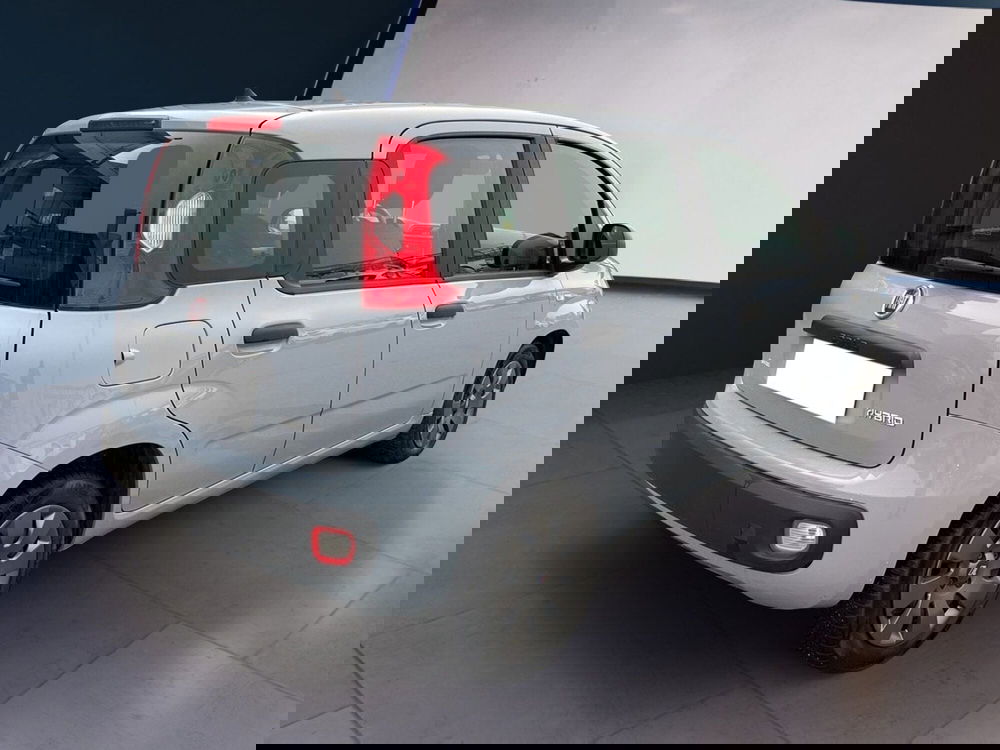 Fiat Panda Cross usata a Torino (6)