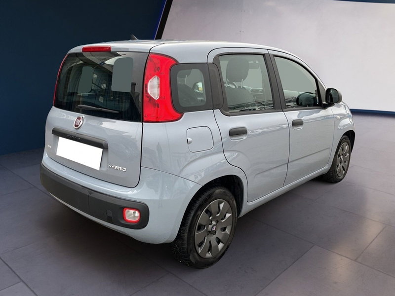 Fiat Panda Cross usata a Torino (6)