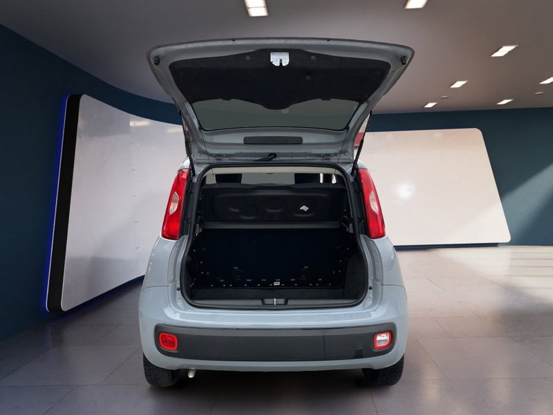 Fiat Panda Cross usata a Torino (7)