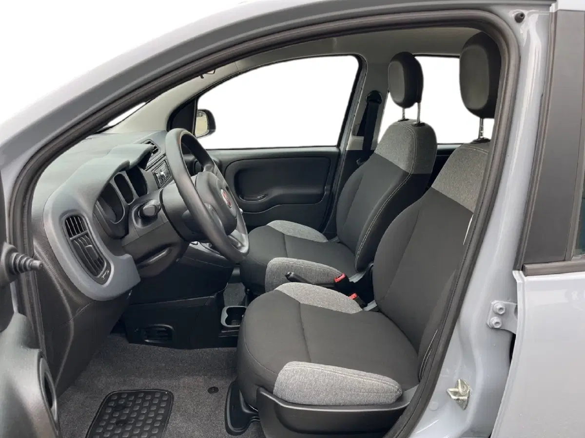 Fiat Panda Cross usata a Torino (9)