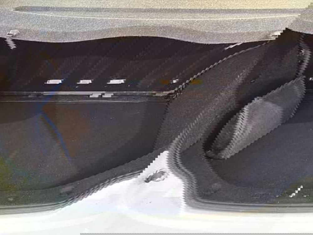 Lancia Musa usata a Siena (20)