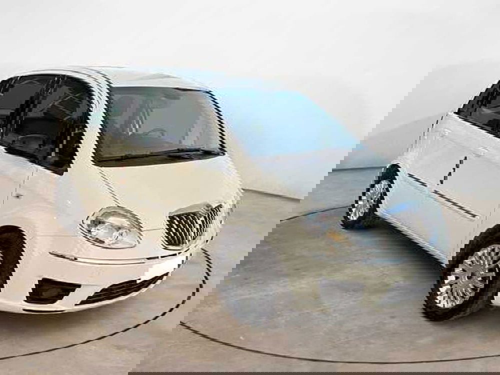 Lancia Musa usata a Siena (7)