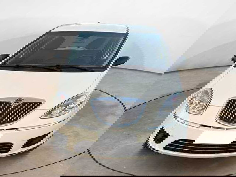 Lancia Musa usata a Siena (8)