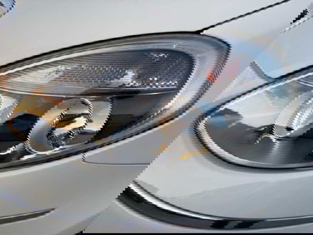 Lancia Musa usata a Siena (9)