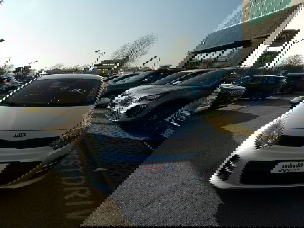 Kia Rio usata a Reggio Emilia (2)