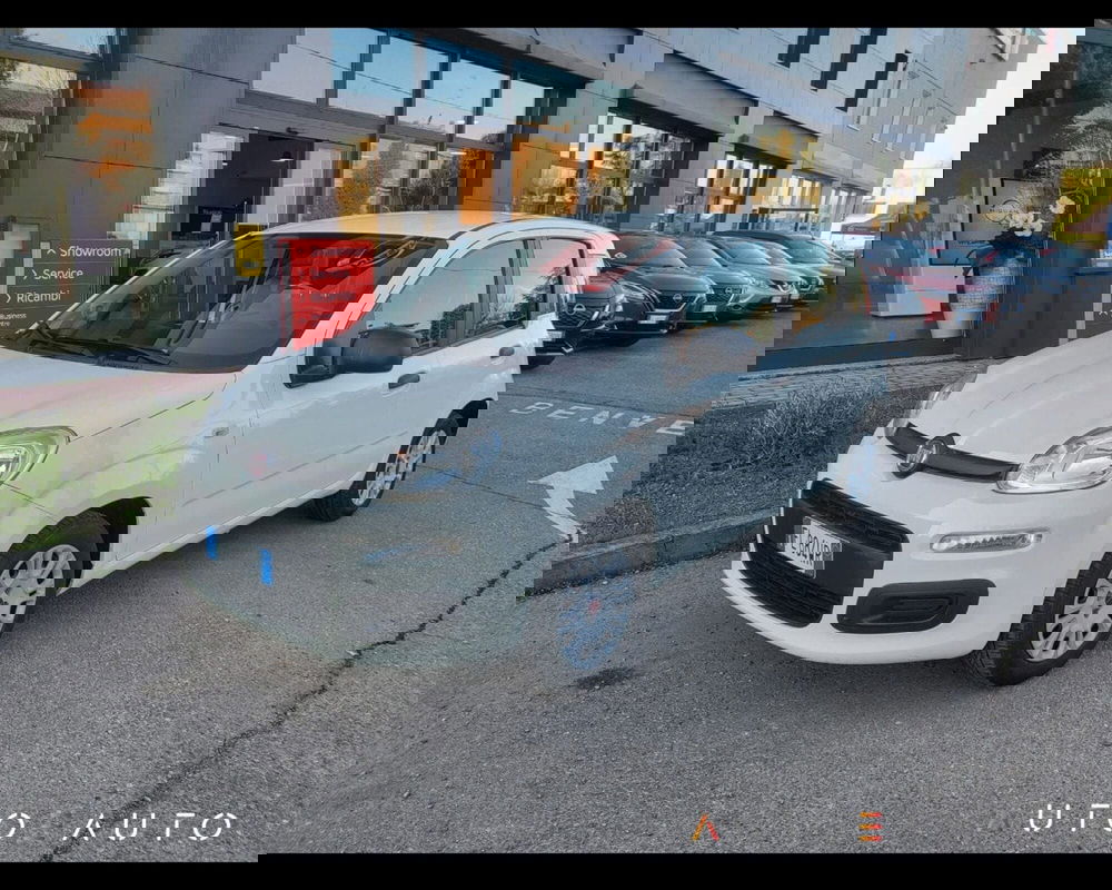 Fiat Panda usata a Reggio Emilia