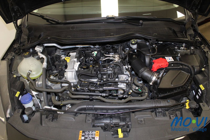 Ford Fiesta usata a Torino (15)
