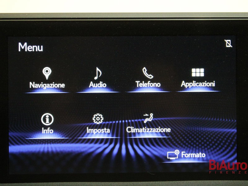 Lexus UX usata a Firenze (14)