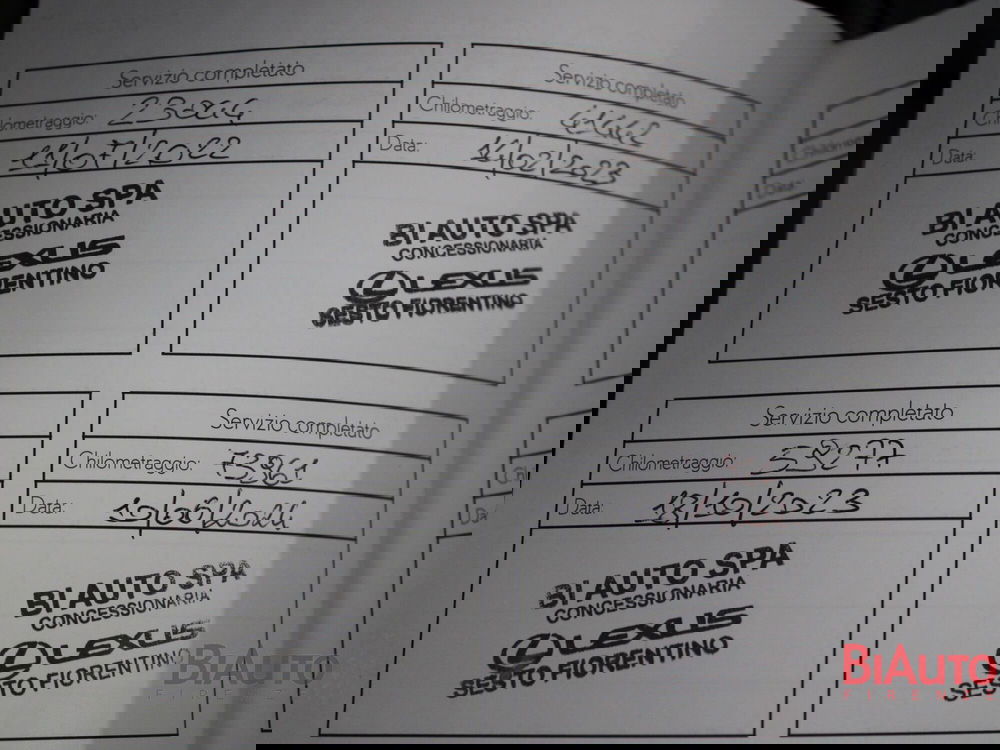 Lexus UX usata a Firenze (17)