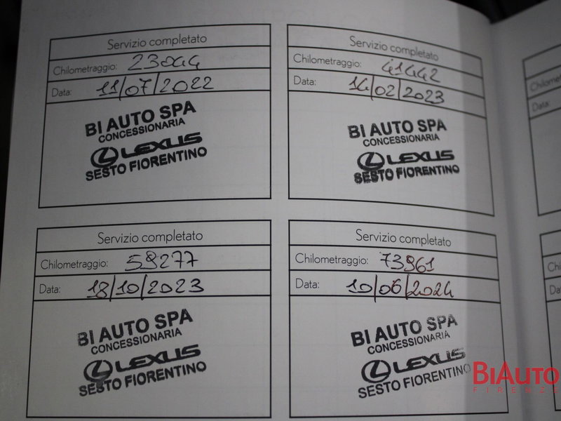 Lexus UX usata a Firenze (17)