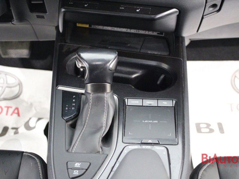 Lexus UX usata a Firenze (18)